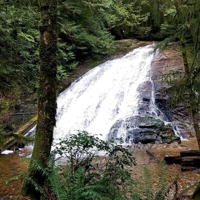 During your stay at The Micro Cabin in Roberts Creek: Waterfalls at Cliff Gilker